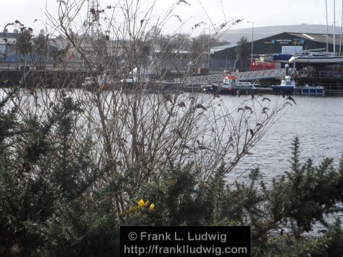 Sligo Harbour